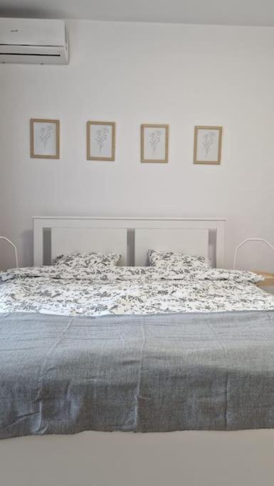 Lovely In Center Apartment *